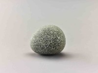 藏品(龜卵石)的圖片