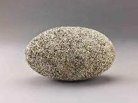 藏品(龜卵石)的圖片