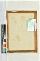 藏品(螃蟹)的圖片