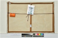 藏品(石碇)的圖片