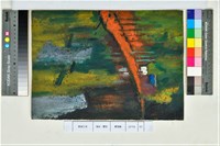 藏品(赤之林道)的圖片