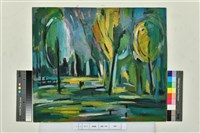 藏品(樹林)的圖片