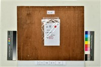 藏品(田野)的圖片