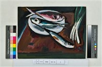 藏品(魚)的圖片