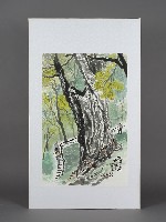 藏品(陳致豪－拉拉山旅足)的圖片