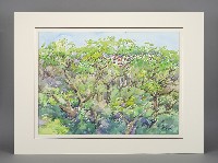 藏品(梁丹卉－古奇峰)的圖片