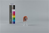 藏品(吸奶器)的圖片