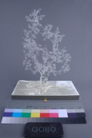 藏品(梅花)的圖片