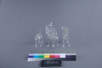 藏品(獵犬)的圖片