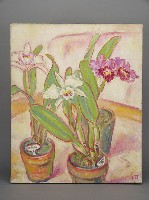 藏品(何德來－洋蘭)的圖片