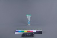 藏品(套色盃式花瓶)的圖片