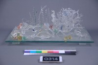 藏品(海洋)的圖片