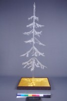 藏品(時空之美)的圖片