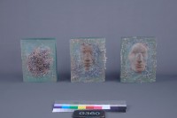 藏品(不生不滅)的圖片