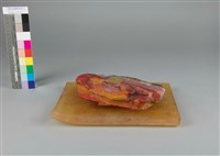 藏品(玻璃祭二)的圖片