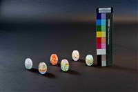 藏品(花的世界)的圖片