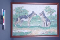 藏品(信賴)的圖片