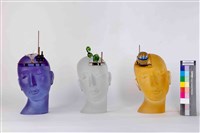 藏品(啟迪綻放)的圖片