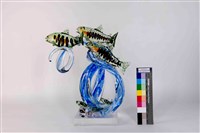 藏品(櫻花鉤吻鮭)的圖片