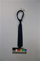 藏品(空軍軍官領帶)的圖片