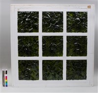 藏品(綠的光合作用)的圖片