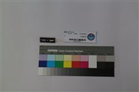 藏品(空軍軍勤徽章)的圖片