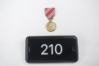 藏品(翔豹獎章)的圖片