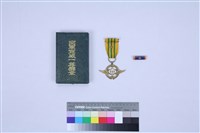 藏品(宣威獎章)的圖片