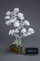 藏品(松柏長青)的圖片