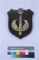 藏品(紀念牌)的圖片