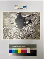 藏品(相片)的圖片