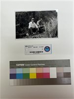 藏品(相片)的圖片