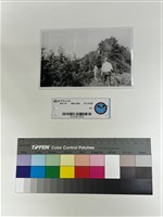 藏品(相片)的圖片