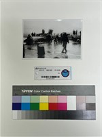 藏品(相片)的圖片