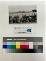 藏品(相片)的圖片