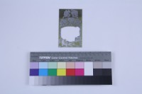 藏品(野狼突擊隊)的圖片