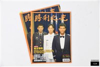 藏品(勝利之光第595期)的圖片