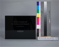 藏品(許家維-飛行器 霜毛蝠 逝者)的圖片