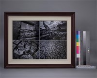 藏品(羅浚濱-盼)的圖片