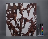 藏品(張淳皓-深深地烙印著)的圖片