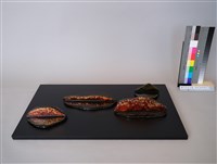 藏品(龍美君－見山‧映河)的圖片