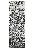 藏品(虞朝庄關帝廟捐題碑拓本)的圖片