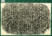 藏品(高陳二公遺像碑記拓本)的圖片