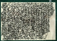 藏品(捐置義民祠田房碑記拓本)的圖片