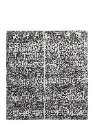 藏品(重興天后宮碑記拓本)的圖片