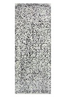 藏品(羅大春蘇澳興學碑記拓本)的圖片