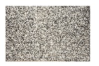 藏品(保安宮重修碑記拓本附捐助緣金姓名碑拓本（一）)的圖片