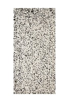 藏品(嚴禁丁役需索惡習碑記拓本)的圖片