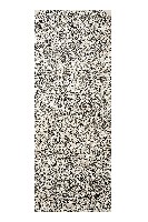 藏品(嚴禁侵佔大眾廟中元祀業碑記拓本)的圖片