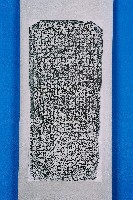 藏品(騎虎王廟祀業碑記拓本)的圖片